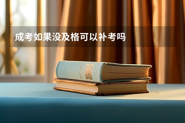 成考如果没及格可以补考吗