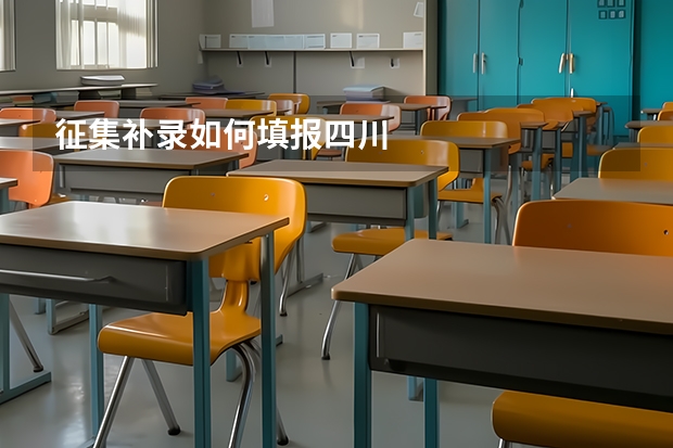 征集补录如何填报四川