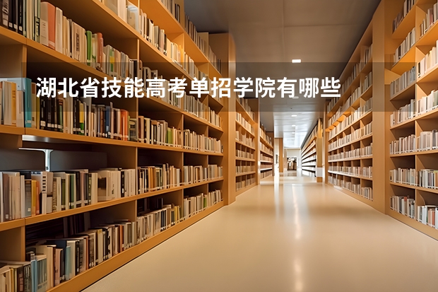 湖北省技能高考单招学院有哪些