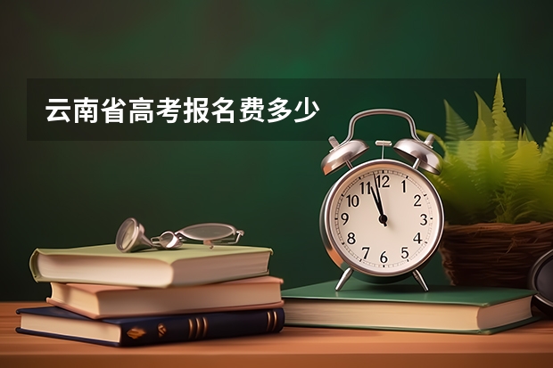 云南省高考报名费多少
