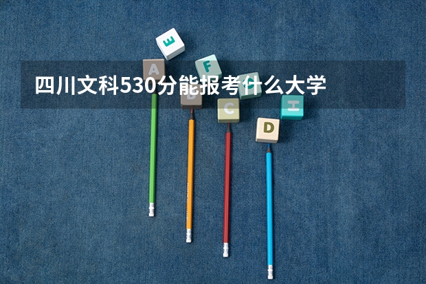 四川文科530分能报考什么大学