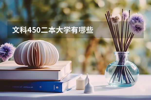 文科450二本大学有哪些