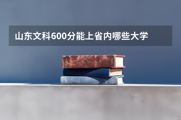 山东文科600分能上省内哪些大学
