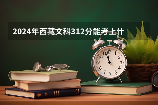2024年西藏文科312分能考上什么大学?
